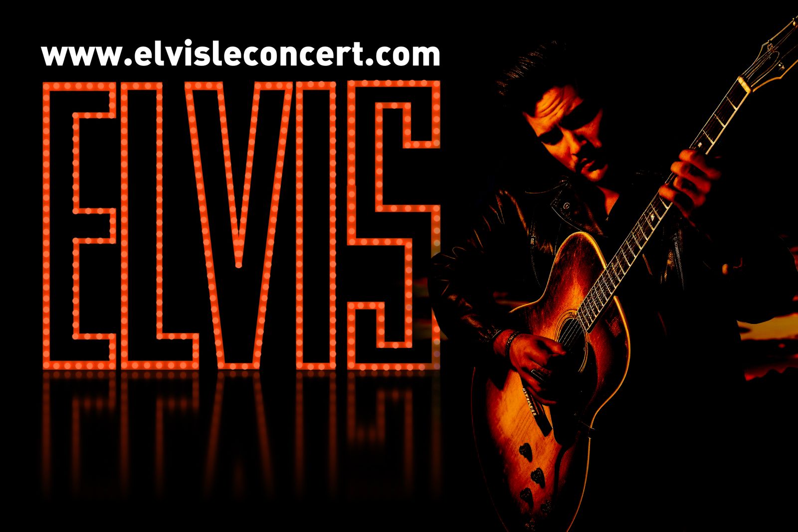 Elvis le concert